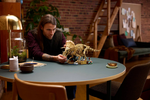 LEGO Dinosaur Fossils: Triceratops - 77985