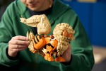 LEGO Pokemon Arcanine - 72160