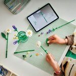 LEGO Botanical Daisies - 11508