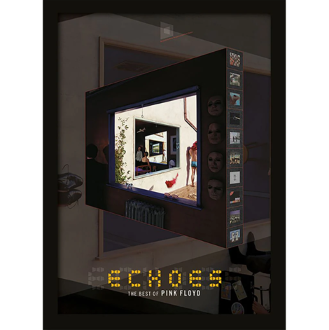 Pink Floyd (Echoes) Wooden Framed Print (30x40) - FP10348P