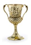 Harry Potter - The Hufflepuff Cup 1/1 Replica - NN8689