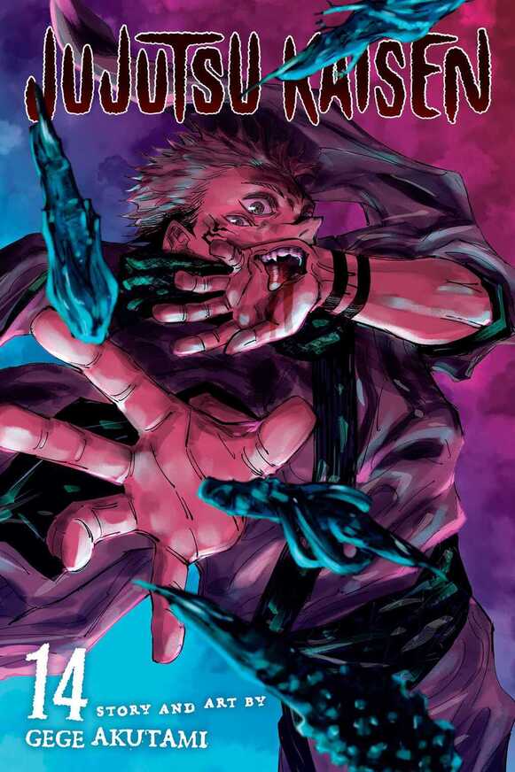 Jujutsu Kaisen, Vol. 14 (14) Paperback