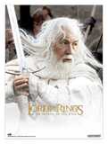 The Lord of the Rings Poster 38 x 52 cm Set of 2 - SETMP009