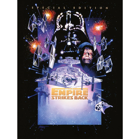 Star Wars Episode V Canvas (The Empire Strikes Back) 60 x 80cm - DC90661
