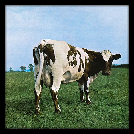 Pink Floyd (Atom Heart Mother) Album Cover Wooden Framed Print 31.5 x 31.5cm - ACPPR48124