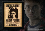 Harry Potter Undesirable Plaque - NNXT0023