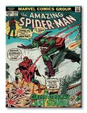 MARVEL Spider-Man (Green Goblin)  Canvas Print 60 x 80cm - WDC90445