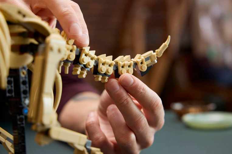 LEGO Dinosaur Fossils: Triceratops - 77985