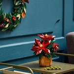 LEGO Icons Botanical Poinsettia - 10370