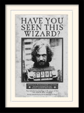 Harry Potter (Sirius Wanted) Wooden Framed Print (30x40) - FP10611P