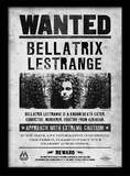 Harry Potter (Bellatrix Wanted) Wooden Framed 30 x 40cm Print - FP10612P