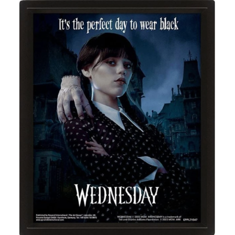 Wednesday 3D Lenticular 26 x 4cm 3D Framed Print - EPPL71547