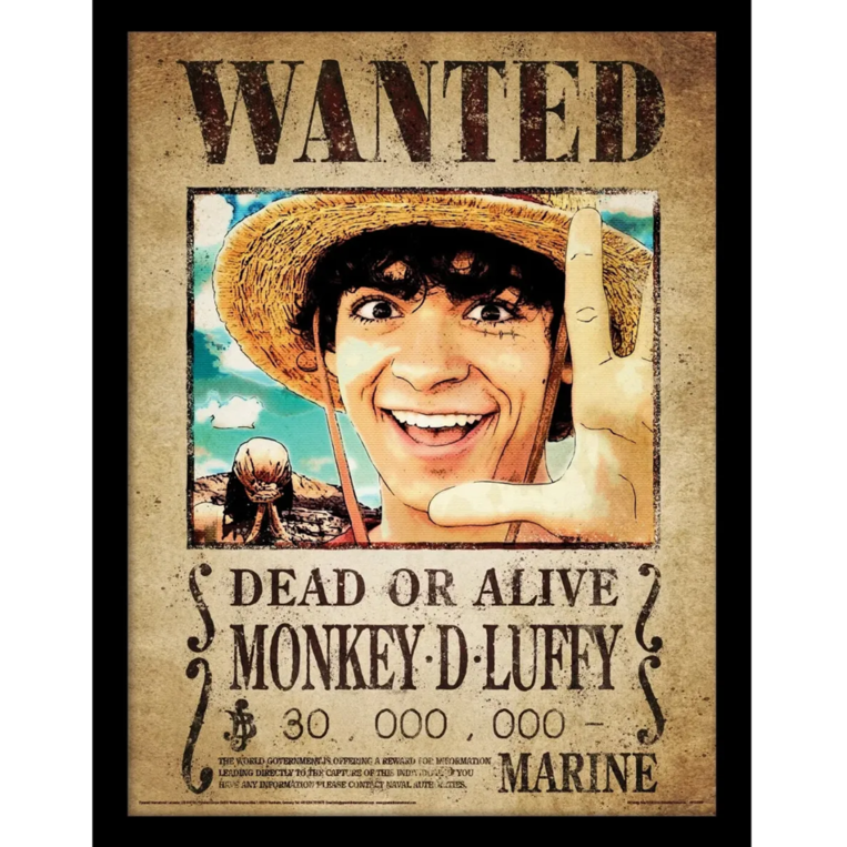 One Piece Live Action (Luffy Wanted Poster) Collector Print (Framed Plexi) 45 x 35cm - FP14030P-PL