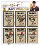 Harry Potter Set Of 6 Proclamations Magnets - DO5005