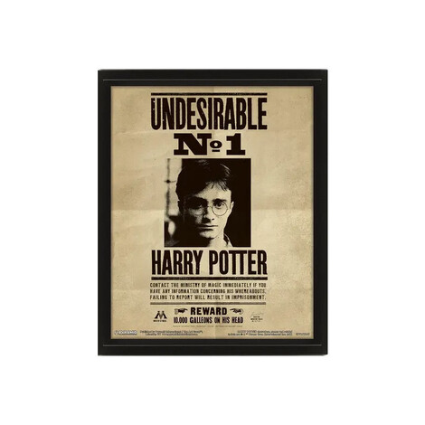 Harry Potter Harry Sirius 3D Lenticular Poster - EPPL71245