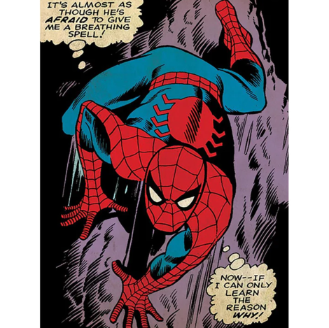 Marvel Spider-Man (Reason Why) Canvas 60 x 80cm - DC90944