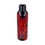 Dragon Ball Insulated Stainless Steel Bottle (515ml) - STR00391