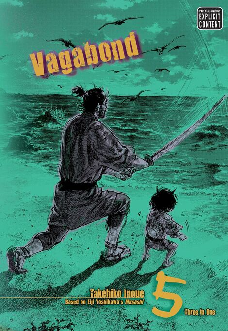 Vagabond, Vol. 5 (VIZBIG Edition)
