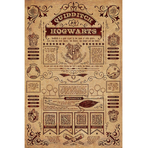 Harry Potter (Quidditch At Hogwarts) Maxi - PP34067