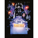 Star Wars Episode V Canvas (The Empire Strikes Back) 60 x 80cm - DC90661