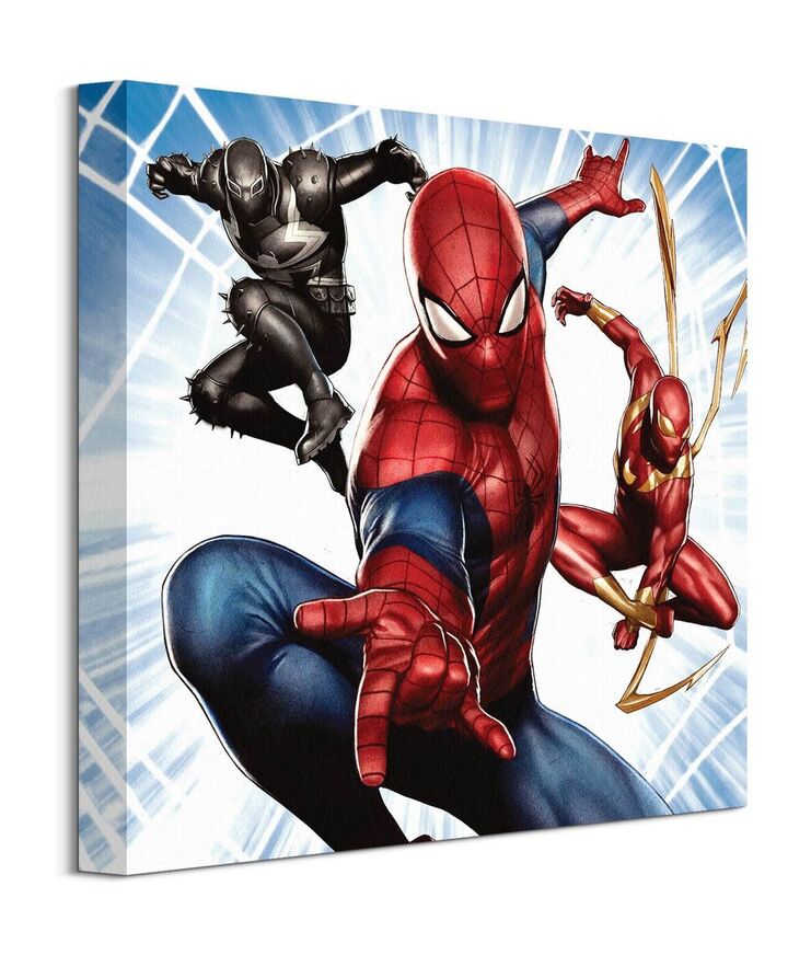 Marvel Spider-Man (Trio) Canvas Print 40x40 cm - WDC95749