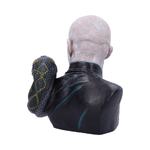 Harry Potter - Lord Voldemort Bust (31cm) - NEMN-B5792U1
