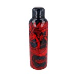 Dragon Ball Insulated Stainless Steel Bottle (515ml) - STR00391
