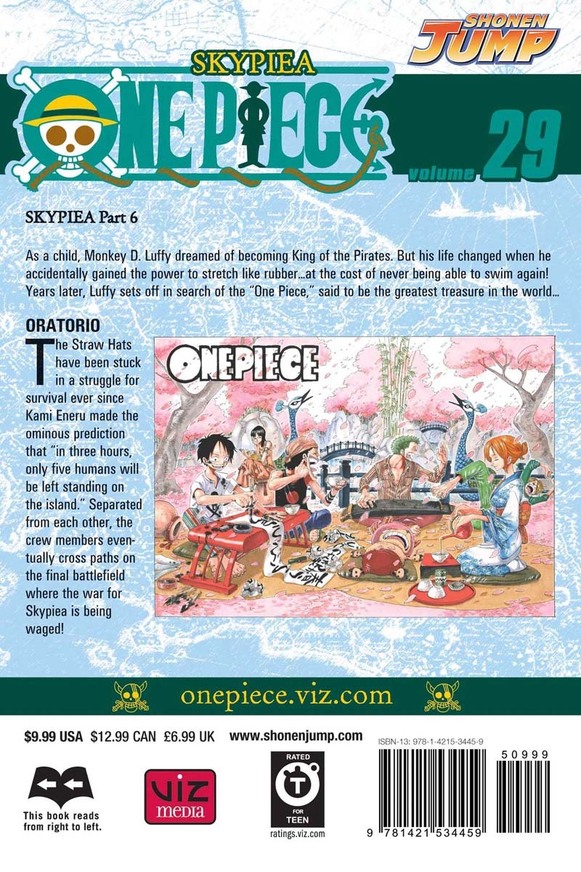 One Piece, Vol. 29