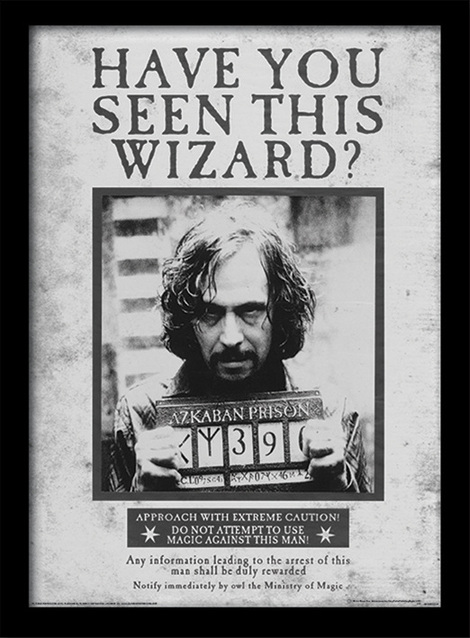 Harry Potter (Sirius Wanted) Wooden Framed Print (30x40) - FP10611P