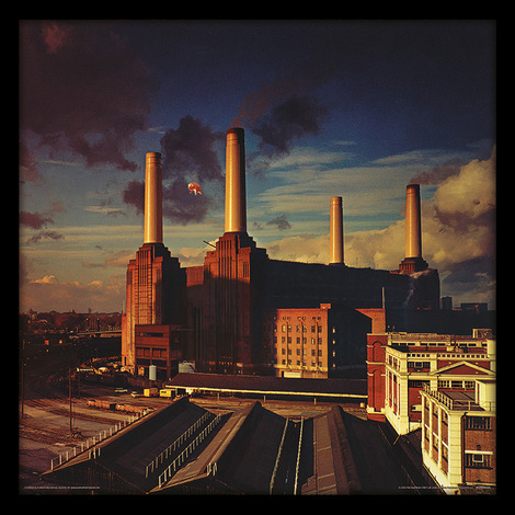 Pink Floyd (Animals) Album Cover Wooden Framed Print 31.5 x 31.5cm - ACPPR48128
