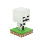 Minecraft Skeleton Icon Light - PP8999MCF