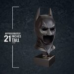 Batman The Dark Knight Special Edition Cowl - NN4527