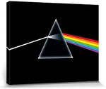 Pink Floyd (Dark Side of the Moon) Canvas 30 x 40cm - DC92057