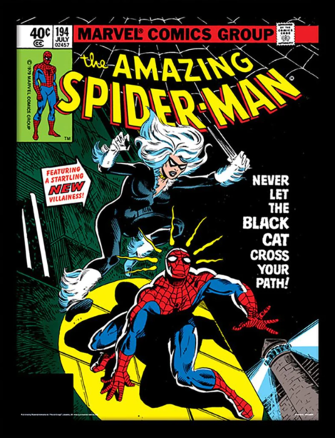 Marvel Spider-Man (Black Cat) Wooden Framed Print (30x40) - FP11237P