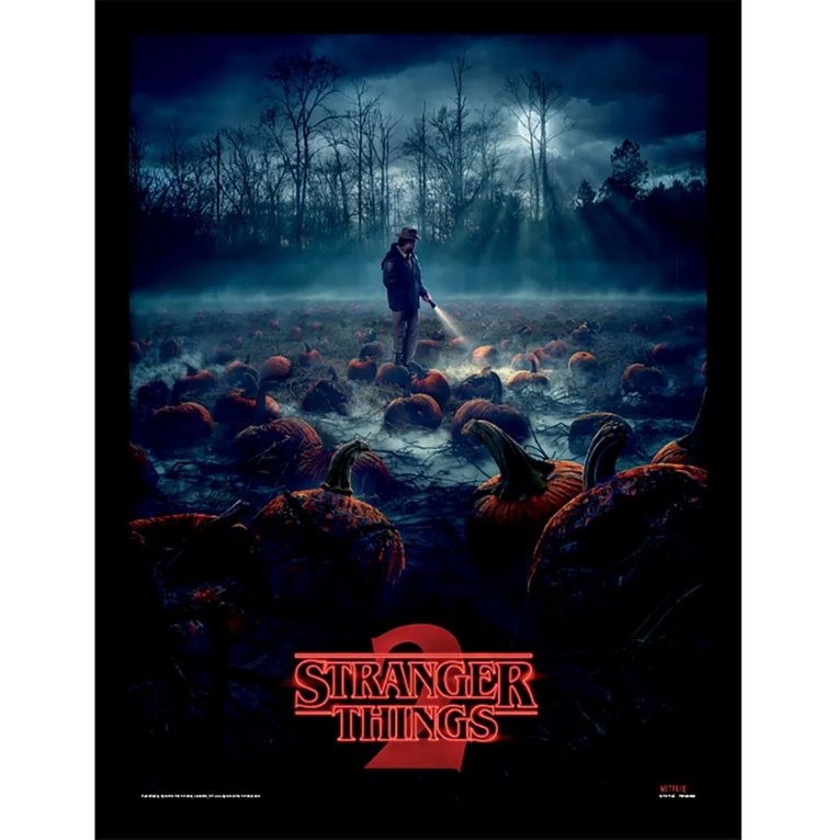Stranger Things (Pumpkin Patch) Wooden Framed Print (30x40) - FP12378P