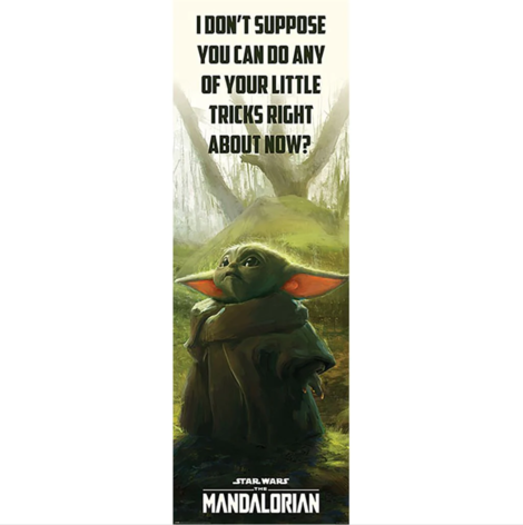 Star Wars The Mandalorian Special Tricks Door Poster 53x158cm - CPP20259