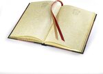 Harry Potter: Gryffindor Journal - NN7337