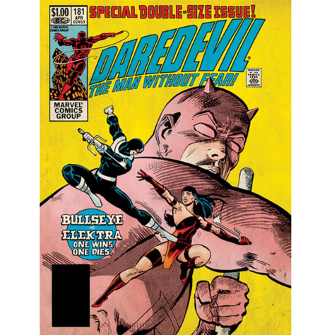 Marvel Comics (Daredevil - Bullseye Vs Elektra) Canvas 60 x 80cm - DC99207