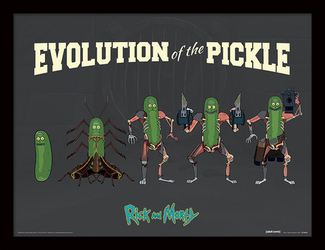 Rick and Morty (Evolution Of The Pickle) Wooden Framed 30 x 40cm Print - FP12282P