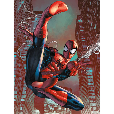 Marvel Spider-Man (Web Sling) Canvas 60 x 80cm - DC99859