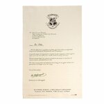Harry Potter's Hogwarts Acceptance Letter Tea Towel Set - IHPT05