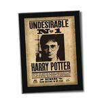 Harry Potter Undesirable Plaque - NNXT0023
