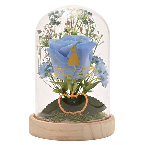 Disney Princess Cinderella Florals In A Clonche With Neon Light - DI2345