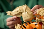 LEGO Pokemon Arcanine - 72160
