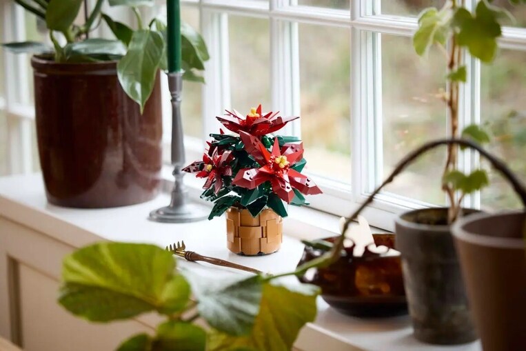 LEGO Icons Botanical Poinsettia - 10370