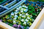 LEGO Claude Monet Bridge Over A Pond Of Water Lilies - 31220