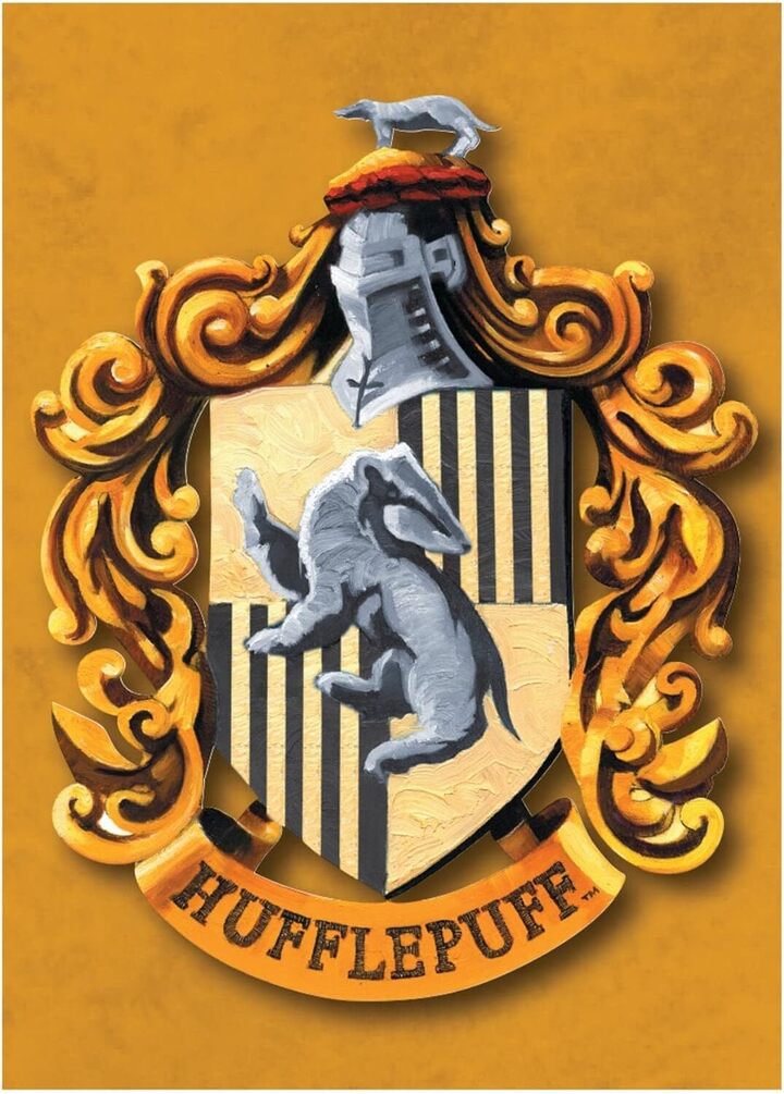 Harry Potter (Hufflepuff) Magnet Metal - MAGMHP10