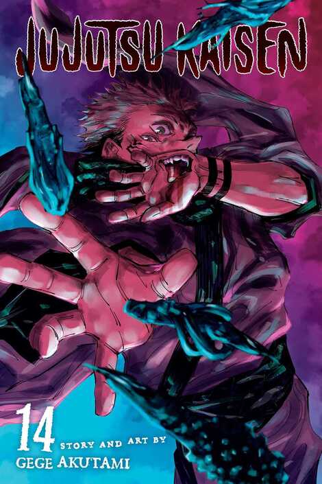 Jujutsu Kaisen, Vol. 14 (14) Paperback