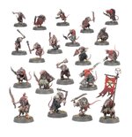 Warhammer Age of Sigmar - Introductory Set - 60010299046
