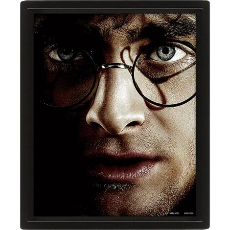 Harry Potter (Harry VS Voldemort) 3D Lenticular Poster (Framed) - EPPL71335